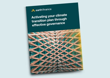 Activating your climate transition plan through effective governance
