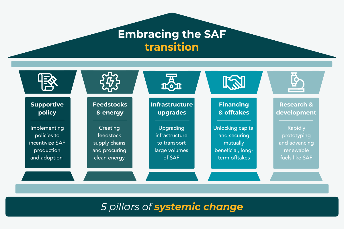 SAF 5 pillars of systemic change